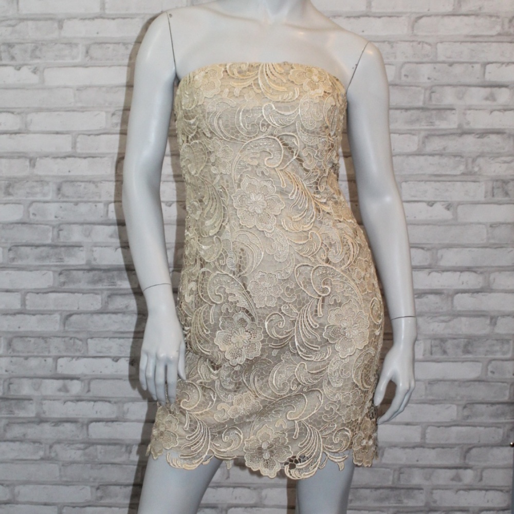 Adrianna Papell BOUTIQUE Lace Mini Skirt Dress (4)